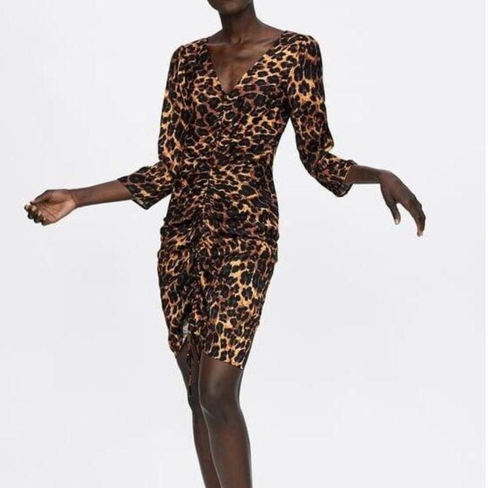 Zara Animal Print Long Sleeve Dress